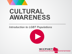 Play Introduction to LGBT Populations Module